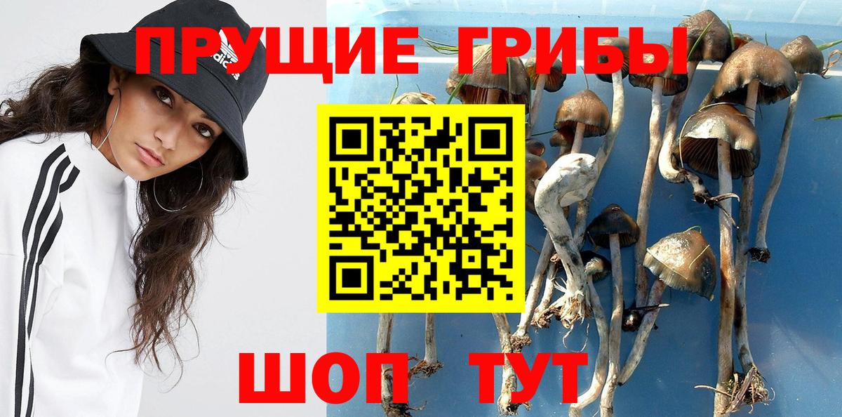 Галлюциногенные грибы Magic Shrooms  Галлюциногенные грибы Psilocybe  Каспийск  Вход с VPN 
