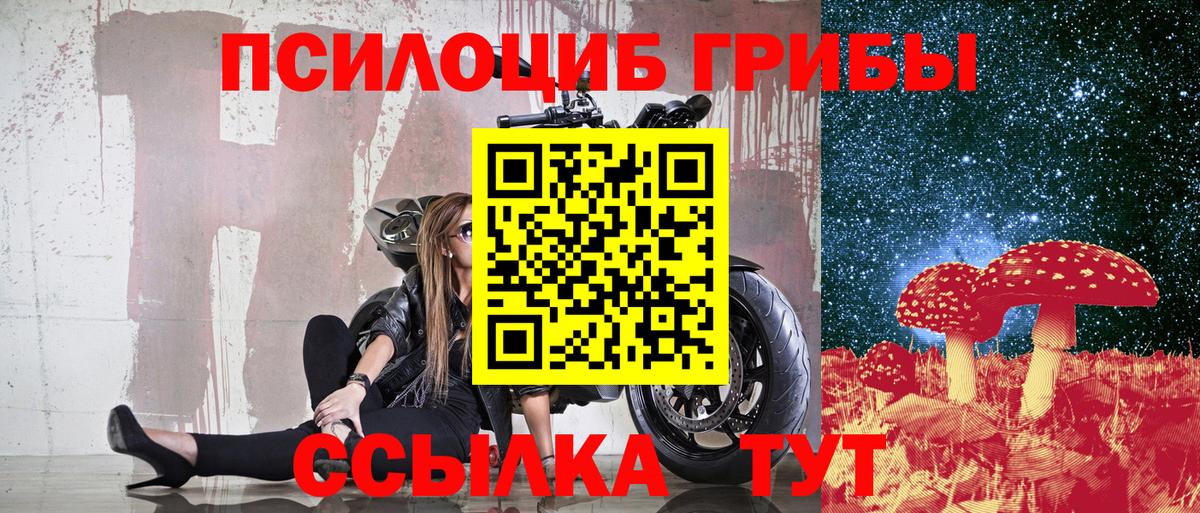 Галлюциногенные грибы ЛСД Каспийск